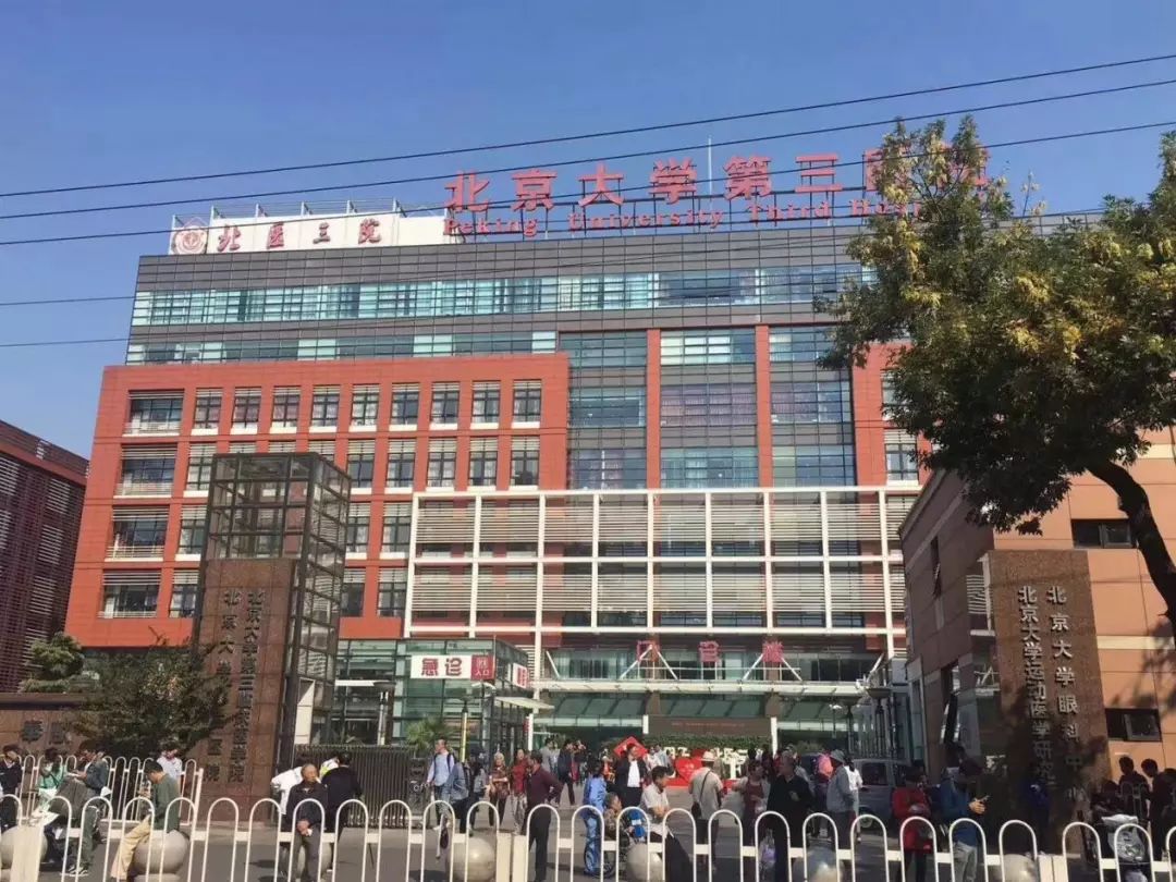 &#20048;&#40060;