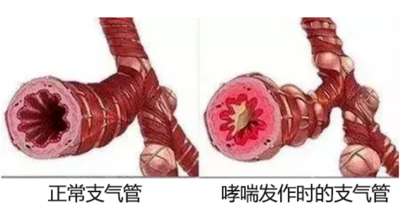 &#20048;&#40060;