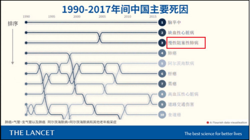 &#20048;&#40060;
