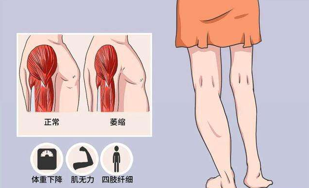 &#20048;&#40060;